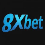 knet8xbet