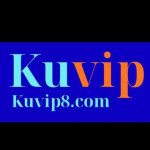 kuvip8com
