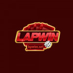 lapwinsnet