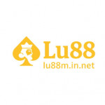 lu88minnet