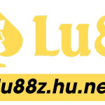 lu88zhunet