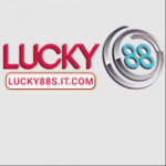 lucky88sitcom