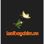 luoibaychimvn