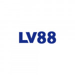 lv8899net