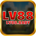 lv88baby