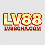 lv88cha
