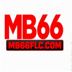 mb66flccom
