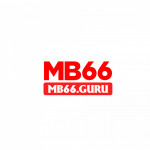 mb66guru1