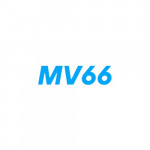 mv66ltd