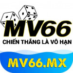 mv66mx