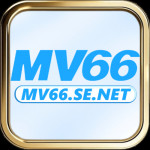 mv66senet
