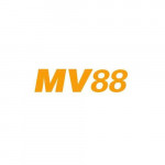 mv88design