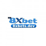 n8xbetsdev