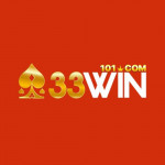 nc33winkanecom