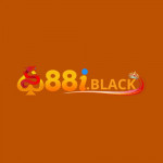 nc88iblack