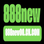 new00