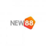 new88netim