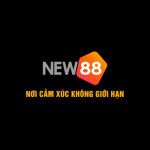 new88pmcom