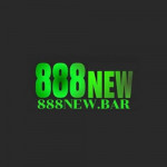newvn888