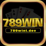 nhacai789wintdev