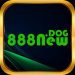 nhacai888Newdog