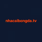 nhacaibongdatv