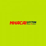 nhacaiuytin51