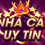 nhacaiuytinmp