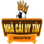 nhacaiuytinsh2