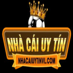 nhacaiuytinvl