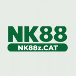 nk88znet