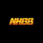 nnh8888com