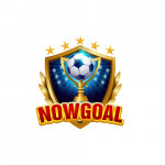 nowgoal29dev