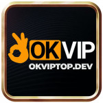 okviptopdev