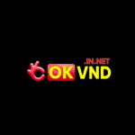 okvndinnet1