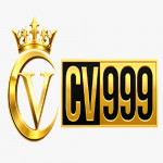 playcv999