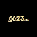 pro6623