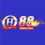 qh881org