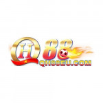 qh88euvn01