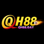 qh88gay
