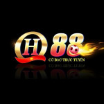 qh88usvn10