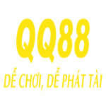 qq88368com