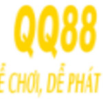qq88luxury