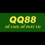 qq88xyzcom2