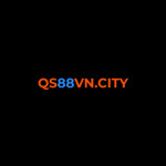 qs88vncity1