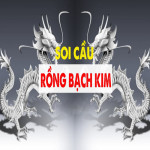 rongbachkim24horg