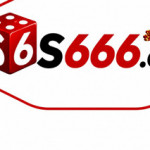 s666org1vn