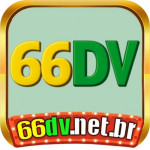 s66dvnetbr