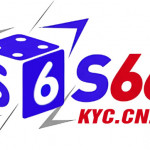 s66kyccncom