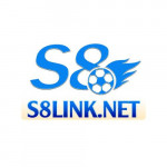 s8linknet